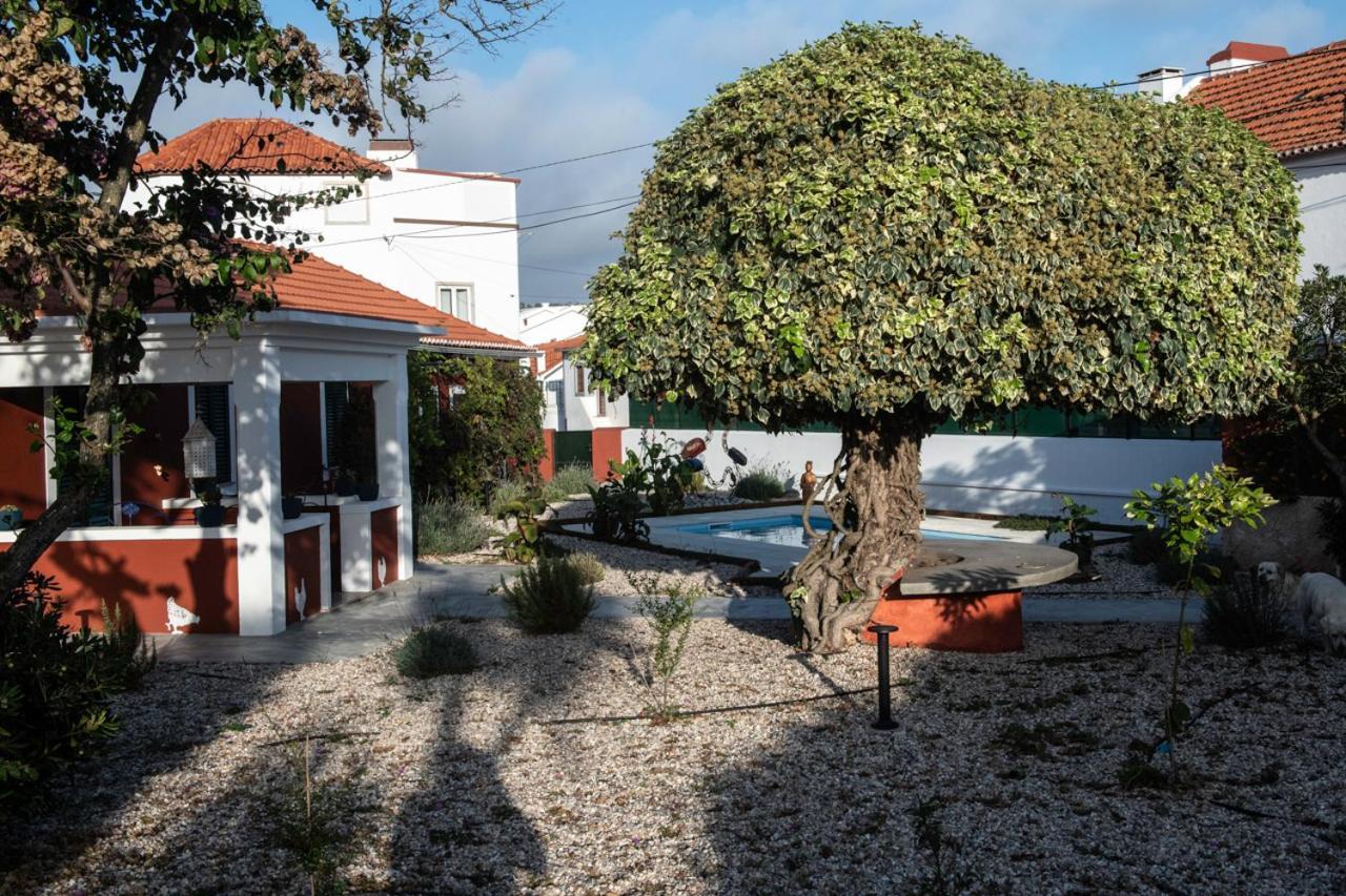 Готель Casa Flamingo Фош-ду-Ареллю Екстер'єр фото